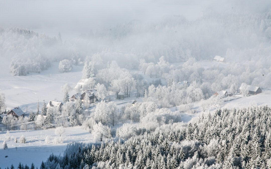20 zł za nocleg w tygodniu